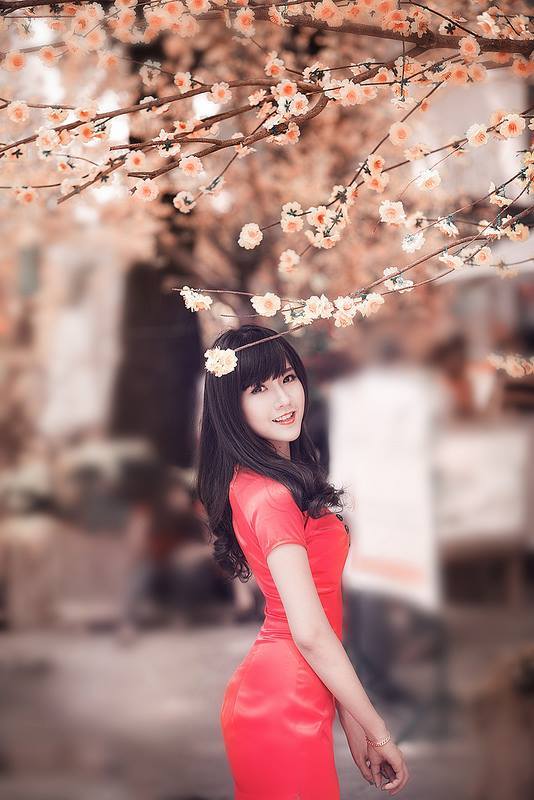 小姨子的秘密电影